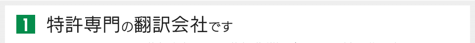 特許専門の翻訳会社です