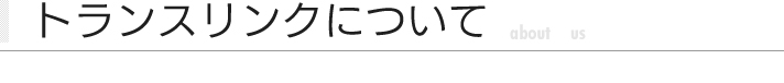 トランスリンクについて